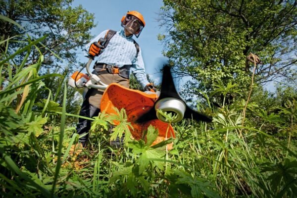 Débroussailleuse STIHL FS 240 C-E – Image 3